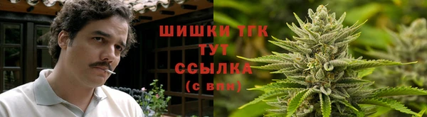 хмурый Корсаков