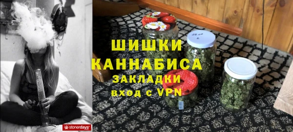 хмурый Корсаков