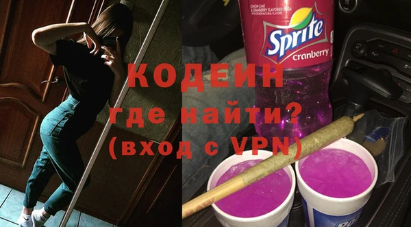 хмурый Корсаков