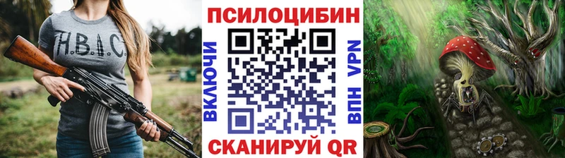 Псилоцибиновые грибы Psilocybine cubensis  Купить где  Арзамас 